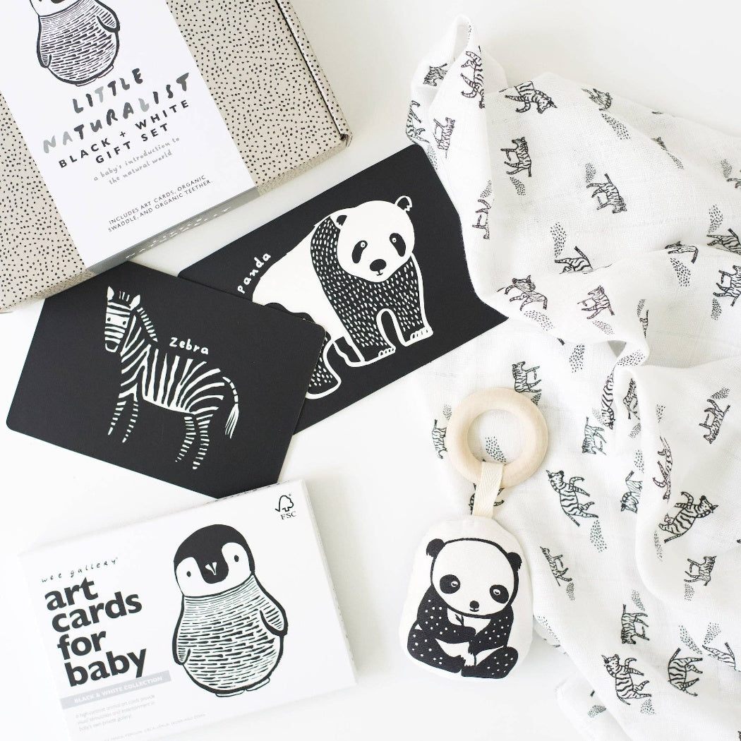 Wee Gallery - 小自然學家禮品套裝(Black + White)